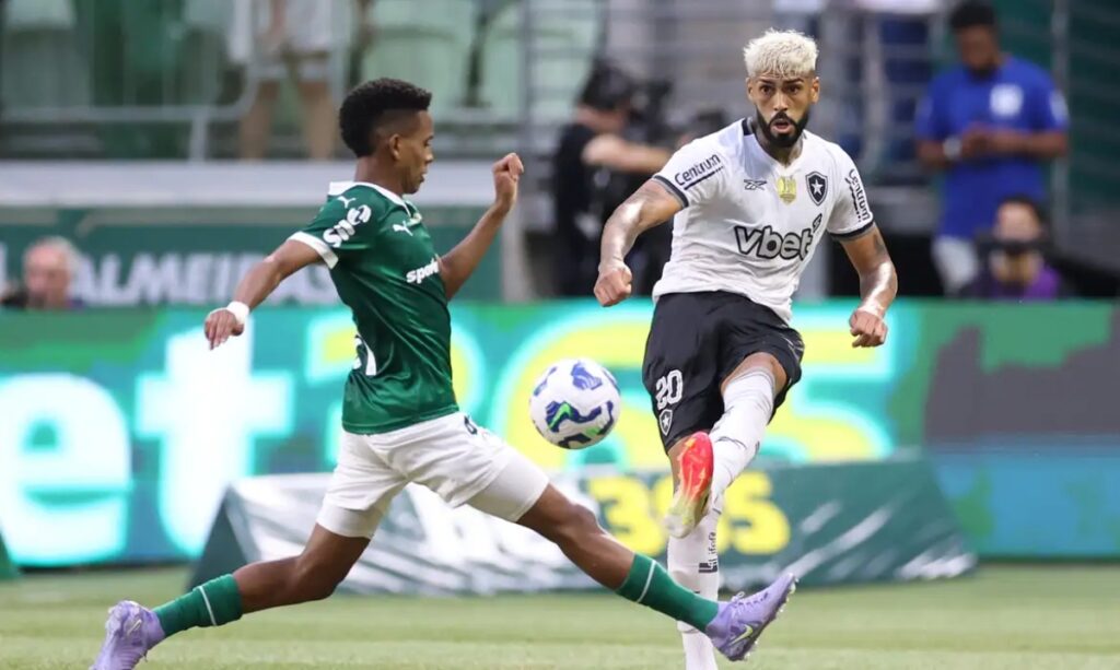 Vitor Silva/Botafogo/Direitos Reservados